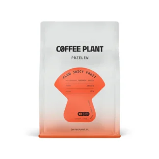 Coffee Plant Flow Juicy Fruit 250 g
