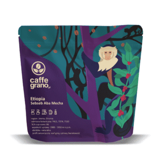Caffe Grano Etiopia Sebseb Aba Mecha Natural Filter 250g